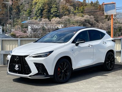 LEXUS NX - 4