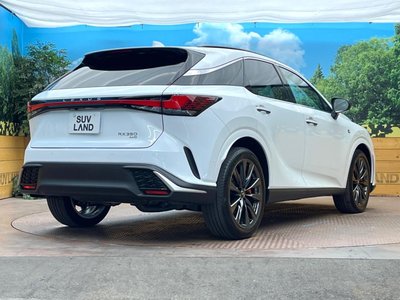 صورة مصغرة 17 لـ 2025 Lexus RX