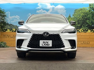 صورة مصغرة 14 لـ 2025 Lexus RX