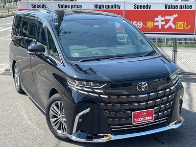 2025 Toyota ALPHARD — миниатюра 34