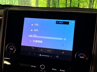 2025 Toyota ALPHARD thumbnail 50