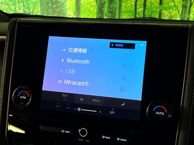 2025 Toyota ALPHARD thumbnail 51