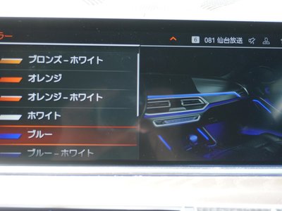 2022 BMW X6 缩略图 73