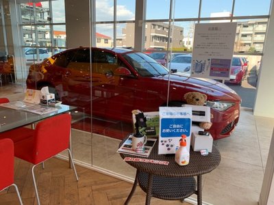 2025 ALFA Romeo STELVIO — миниатюра 47