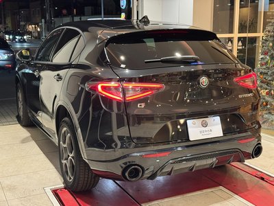 2025 ALFA Romeo STELVIO — миниатюра 20