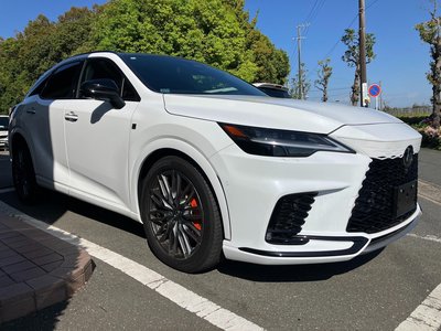 LEXUS RX - 10