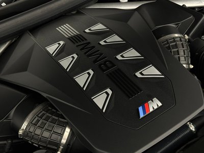 2025 BMW X6 — миниатюра 55