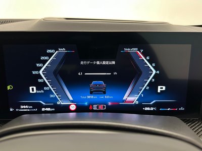 2025 BMW X6 — миниатюра 33