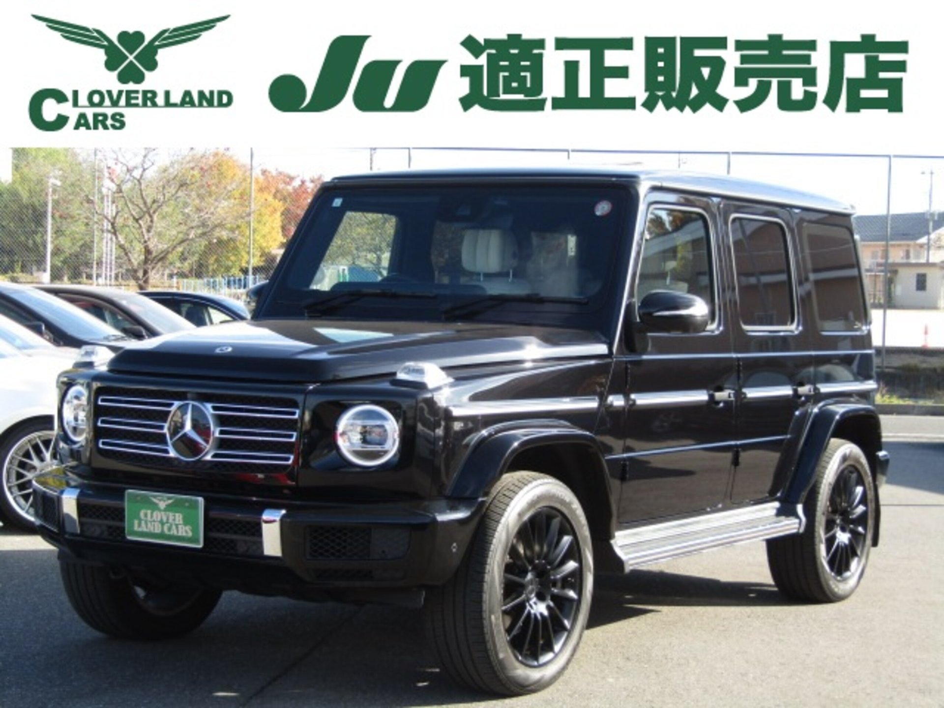 MERCEDES-BENZ G-CLASS - View 1
