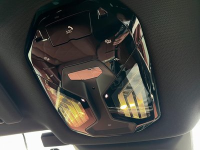 2022 BMW IX 缩略图 34