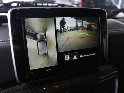 2016 Mercedes-BENZ G-CLASS 缩略图 100