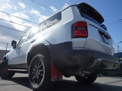 TOYOTA LAND CRUISER 250 - 10