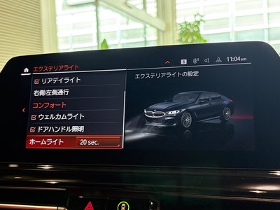 2019 BMW 8 SERIES GRAN COUPE — миниатюра 25