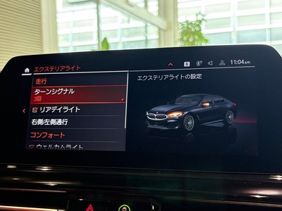 2019 BMW 8 SERIES GRAN COUPE — миниатюра 24
