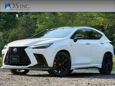 LEXUS NX - 1