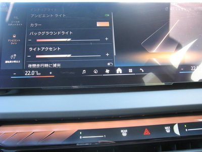 2025 BMW X3 thumbnail 28