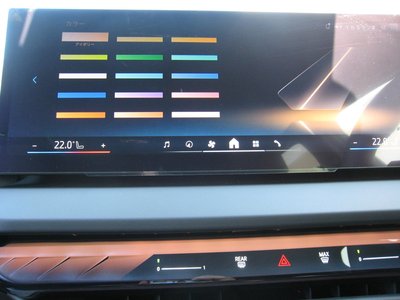 2025 BMW X3 thumbnail 29