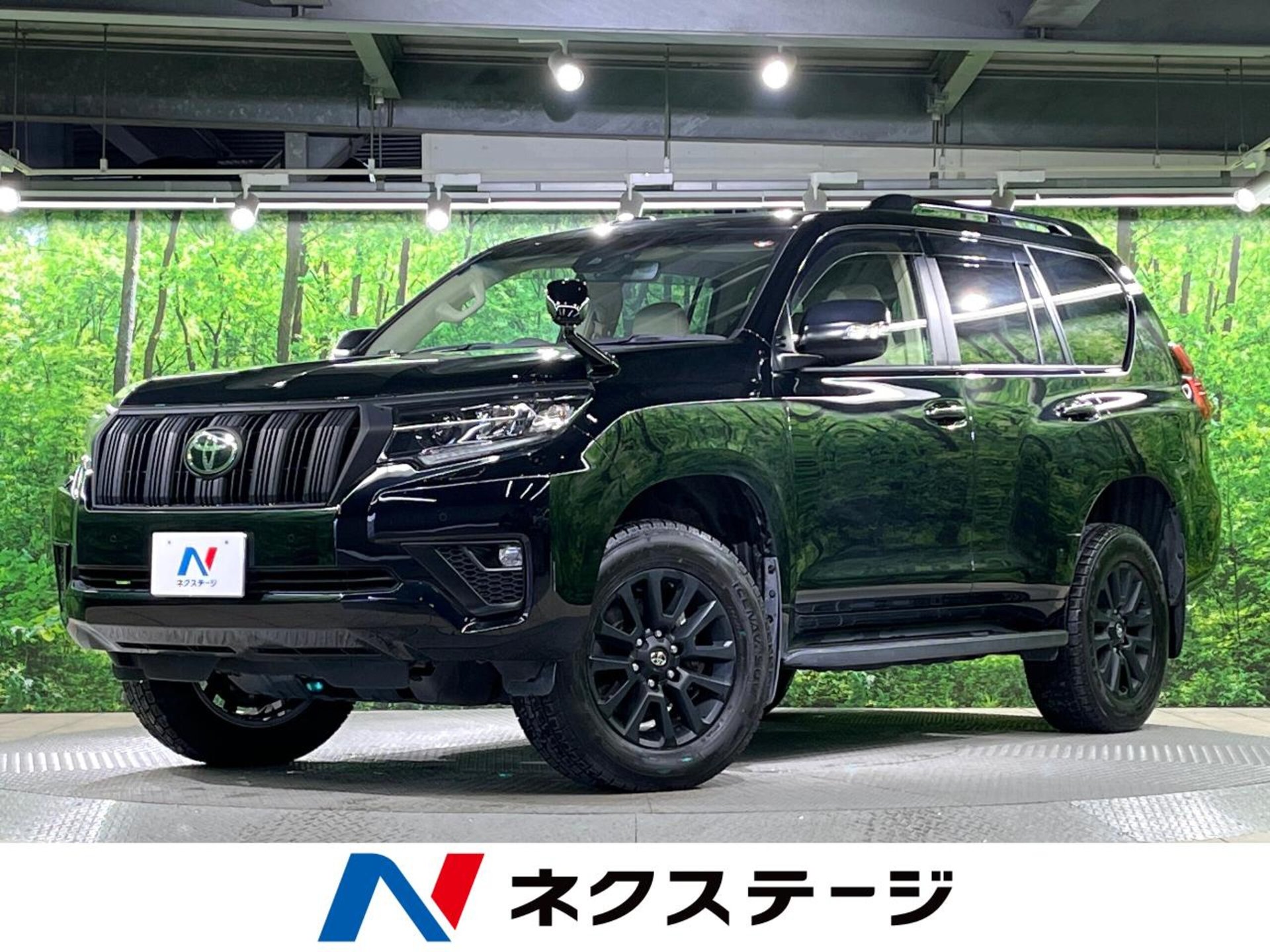 TOYOTA LAND CRUISER PRADO - View 1