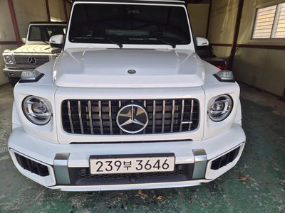 MERCEDES-BENZ G-CLASS - 1