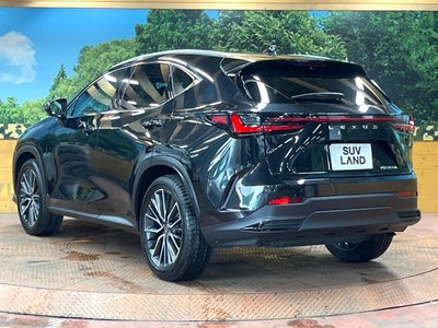 2023 Lexus NX 缩略图 60