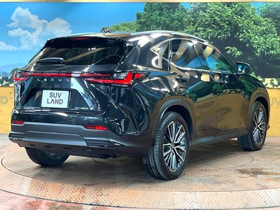 2023 Lexus NX 缩略图 15