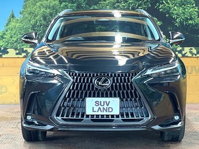 2023 Lexus NX 缩略图 12