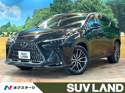 2023 Lexus NX 照片 1