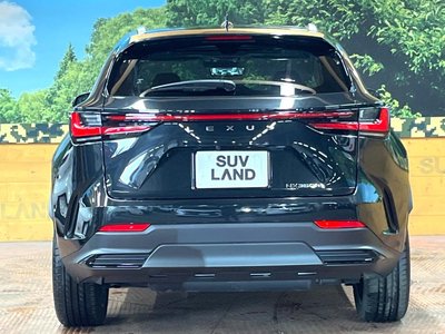 2023 Lexus NX 缩略图 13