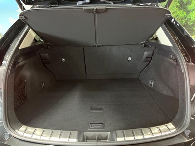 2023 Lexus NX 照片 10