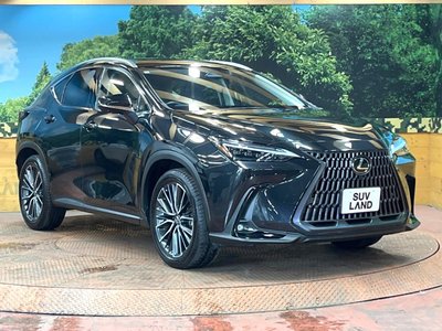 2023 Lexus NX 缩略图 14