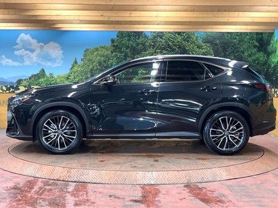 2023 Lexus NX 缩略图 61