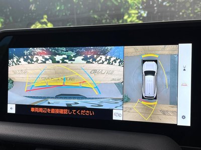 TOYOTA LAND CRUISER 250 - 5