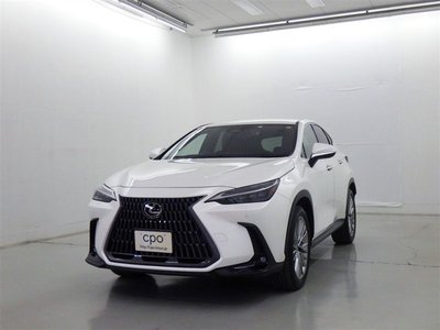 LEXUS NX - 1