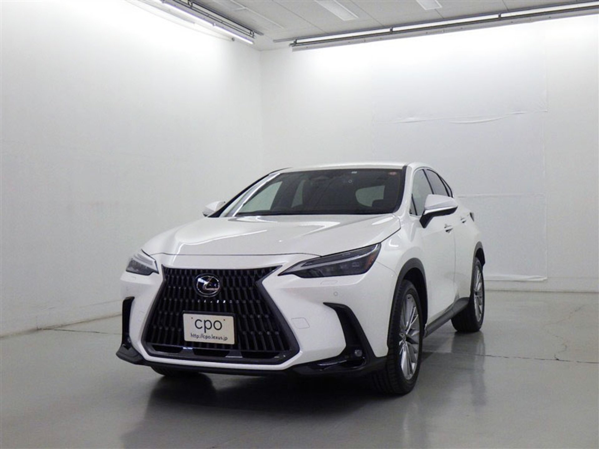 LEXUS NX - View 1