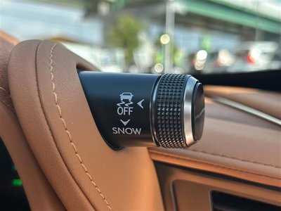 2020 LEXUS LC 照片 9