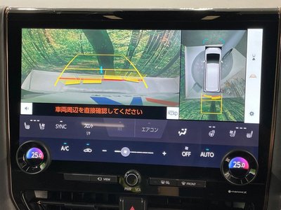 2024 TOYOTA ALPHARD 缩略图 30