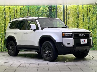 TOYOTA LAND CRUISER 250 - 10