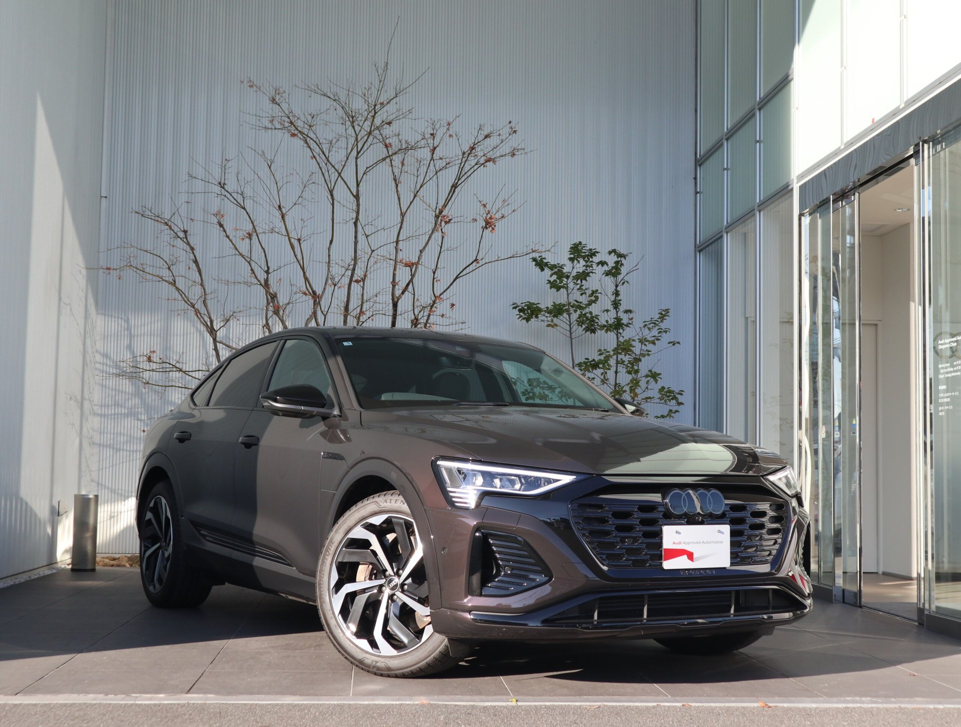 AUDI Q8 SPORTBACK E-TRON - View 1