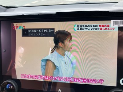 2026 Toyota VELLFIRE 缩略图 24
