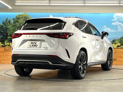 2023 Lexus NX 缩略图 17