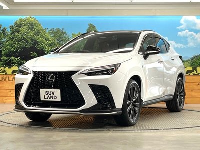 2023 Lexus NX 缩略图 32