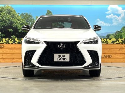 2023 Lexus NX 缩略图 14