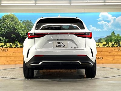 2023 Lexus NX 缩略图 15