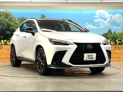 2023 Lexus NX 缩略图 16