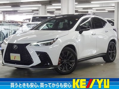 LEXUS NX - 1