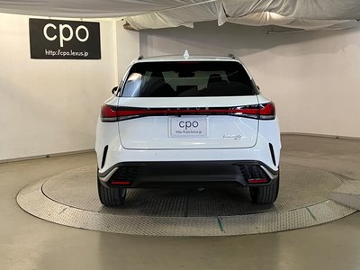 LEXUS RX - 10