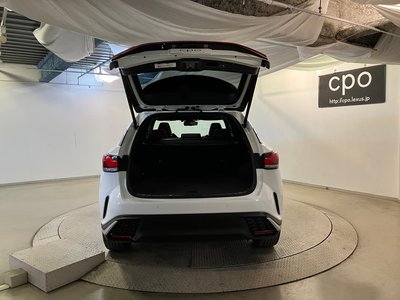 2024 Lexus RX thumbnail 11