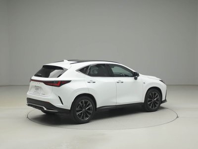 LEXUS NX - 10