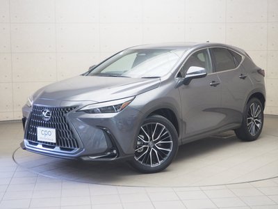 LEXUS NX - 1