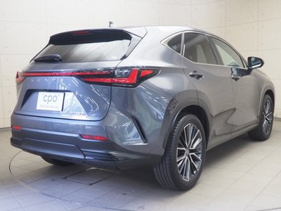 LEXUS NX - 6